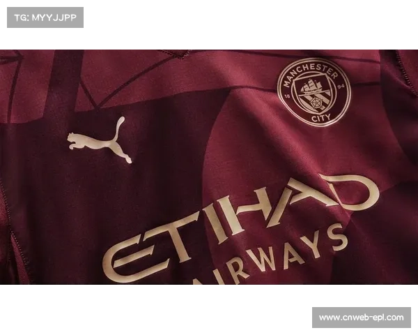 曼城发布新款队徽印花训练服 曼城发布新款队徽印花训练服